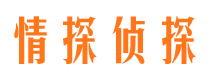 双鸭山市侦探公司